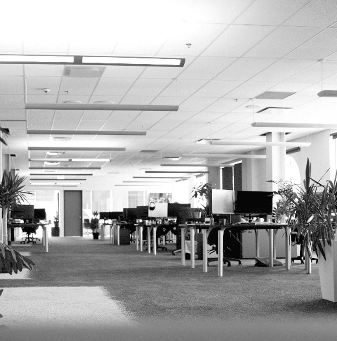 Nos bureaux